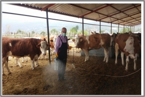 duru-SIRT-TİPİ-U.L.V-CİFTLİK-İLAÇLAMA-300x201